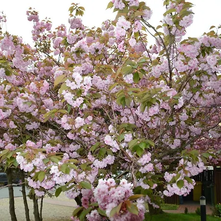 Suedstrand Amrum Отель