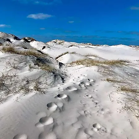 Suedstrand Amrum 호텔