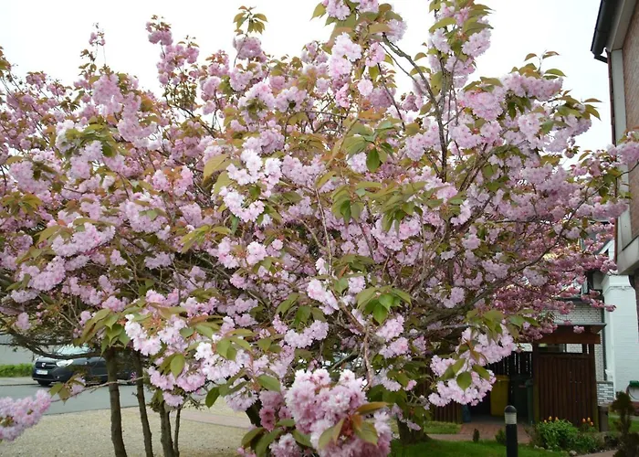 Suedstrand Amrum Hotel